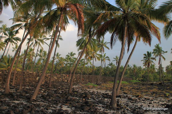 Lava rock wall, Pu`uhonua O Hōnaunau National Historical Park