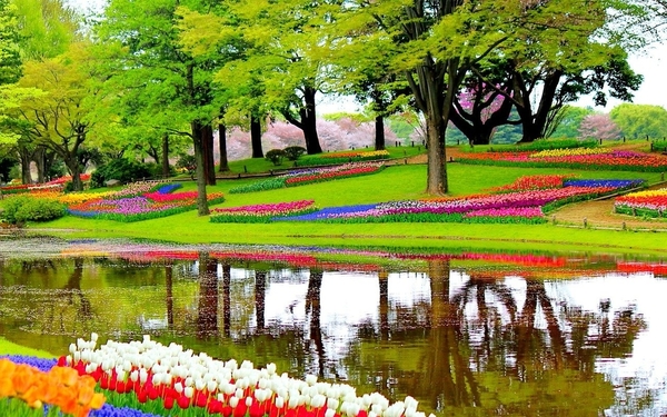 Keukenhof-Lisse