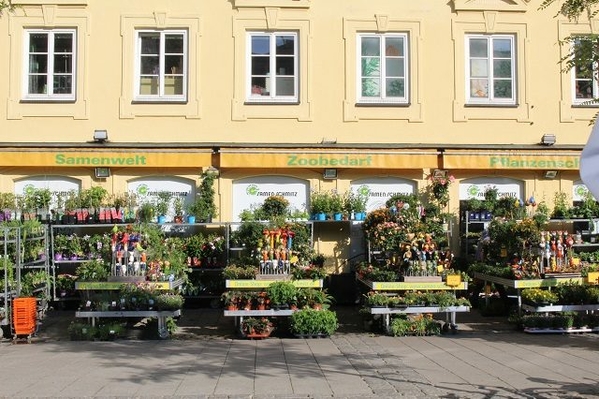 Viktualienmarkt-Flowers-2