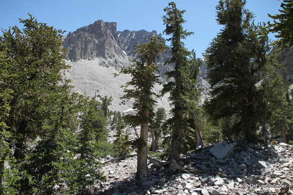 great-basin-np-020