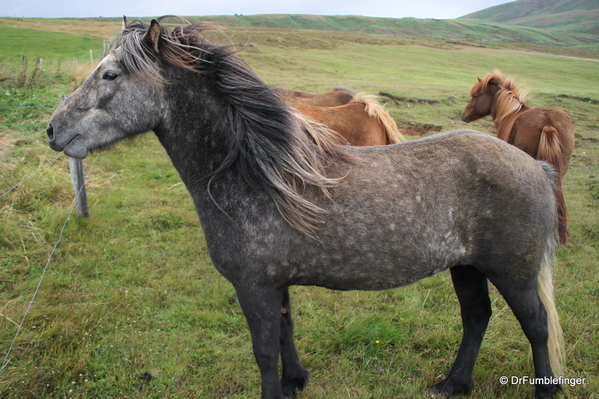 north-iceland-2010-049