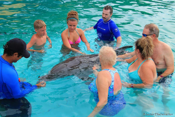 Puerto Vallarta Trainer for a Day. Dolphin introduction