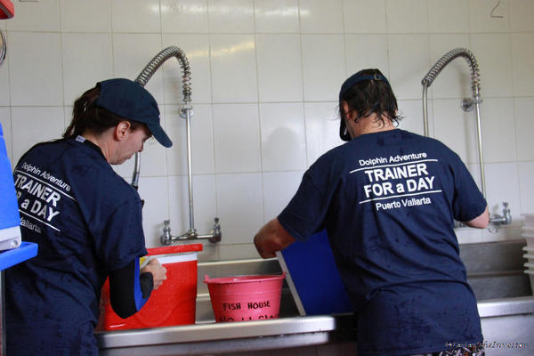 Puerto Vallarta Trainer for a Day. Working in the fish storage room (cold!)