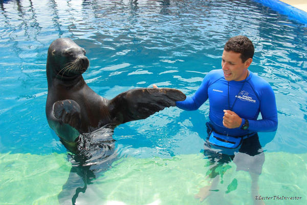 Puerto Vallarta Trainer for a Day. Shala and Rodrigo