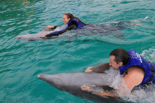 Puerto Vallarta Trainer for a Day. Everybody was competitive