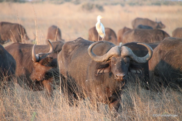 2014-32b-aug-8-2014-buffalo-sandibe