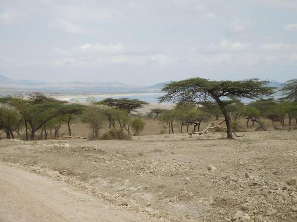 Abiata National Park. View of the lake