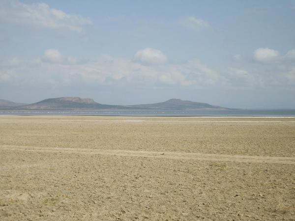 Abiata National Park. Loss of water has resulted in drying up of the lake