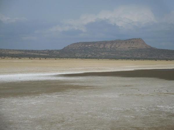 Abiata National Park. Dried lake bed used for fertilizer material