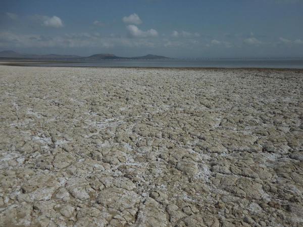 Abiata National Park. Mud that has dried out, creating unique patterns