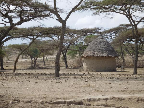 Abiata National Park. Hut dwelling