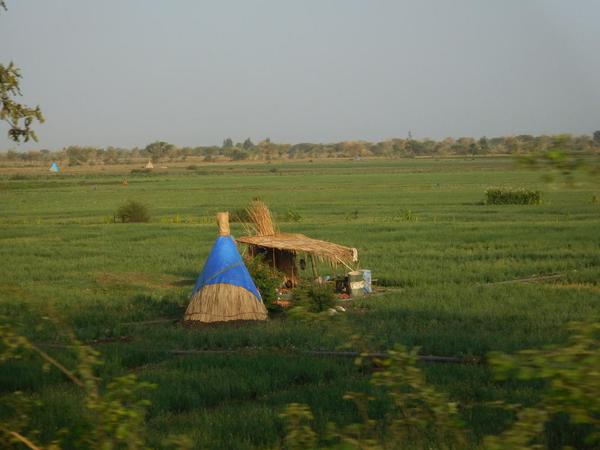 Ethiopia Rift Valley House. Small round 