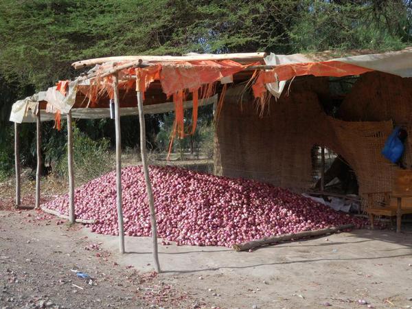 A huge mound of onions