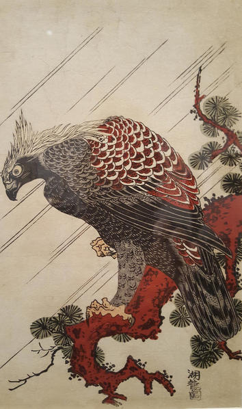 20151202_Asian Art Museum Falcon East