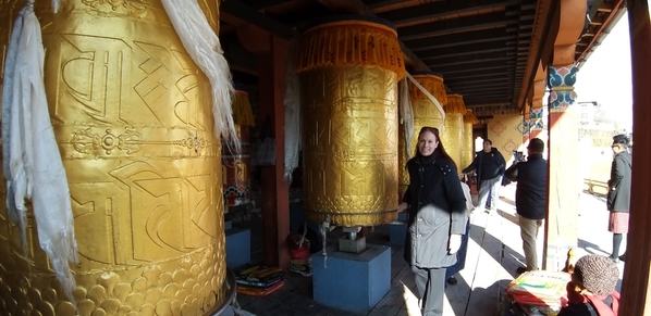 20200121_Bhutan Thimphu Giant Pagoda 050