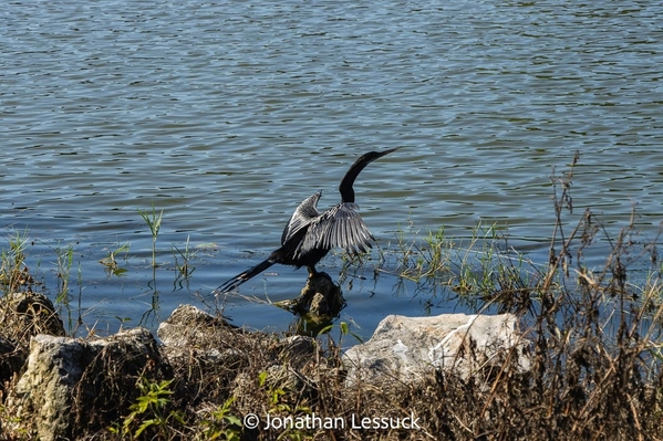 2023-09-15 Mt. Dora-11