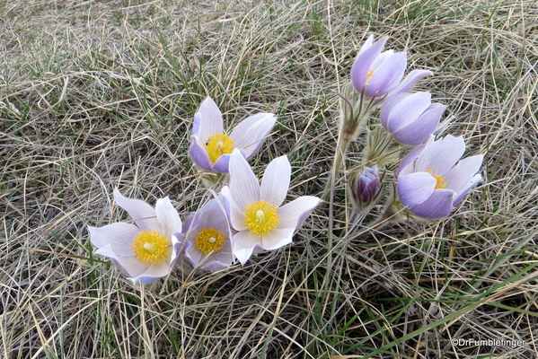 20 Fish Creek Provincial Park