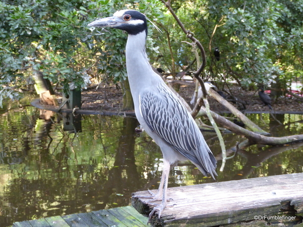 20 Flamingo Gardens