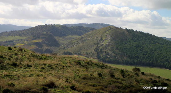 20 Segesta