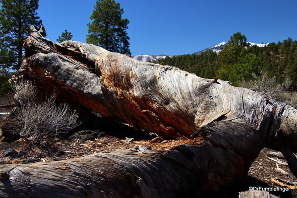 20 Sunset Crater