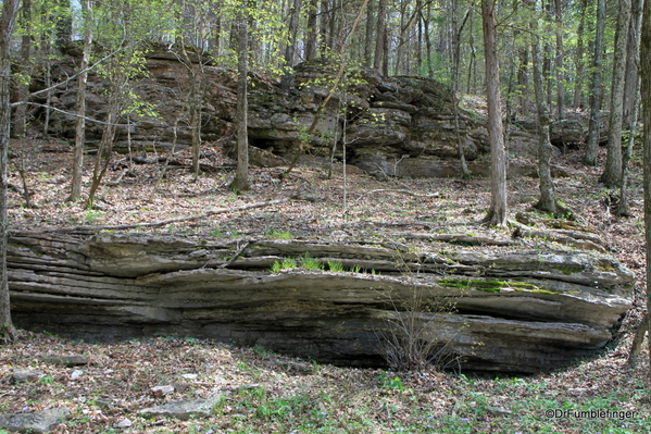 20 Thorncrown Chapel (9)