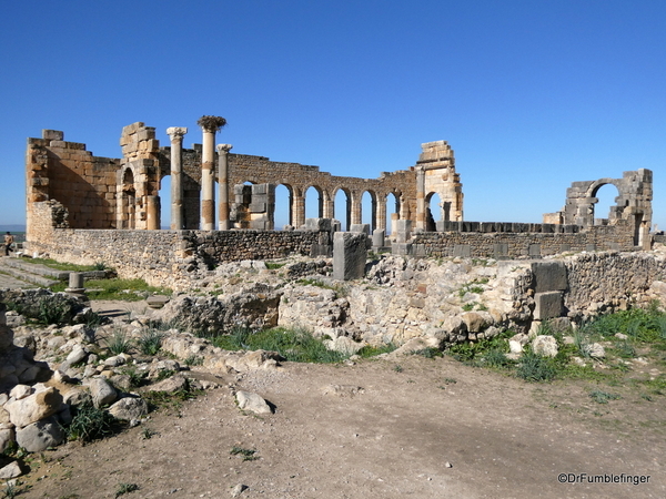 20 Volubilis