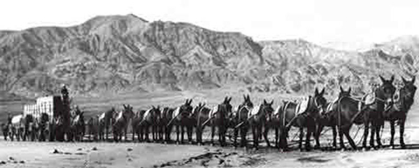 20_Mule_Team_in_Death_Valley