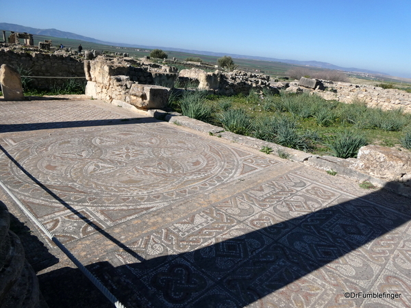 20a Volubilis (Floor Mosaics