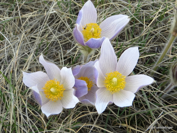 21 Fish Creek Provincial Park