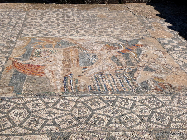 21 Volubilis -- Floor mosaic of Dianna