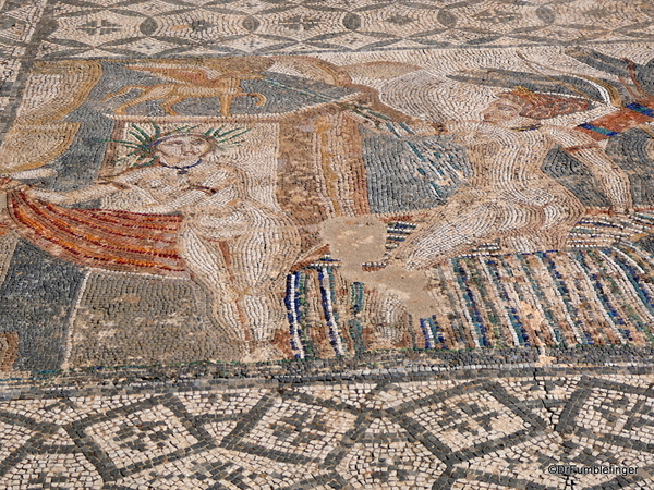 22 Volubilis -- Floor mosaic of Dianna