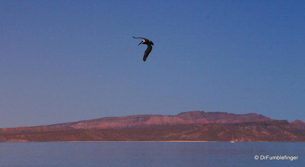 2 Baja-California-Espiritu-Santo-%202005-002