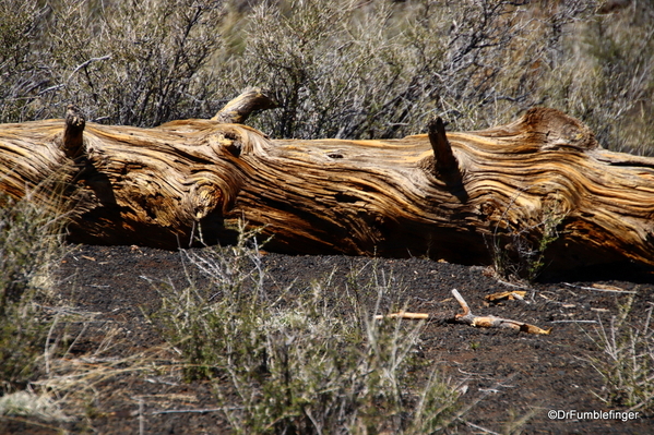 23 Sunset Crater