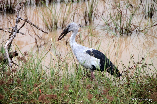 23 Yala NP