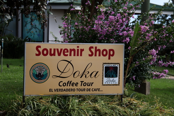 24-04 Doka Coffee Plantation (73)