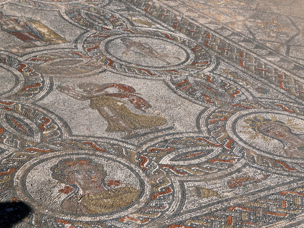 24 Volubilis -- Floor mosaic of the vathing nymphs