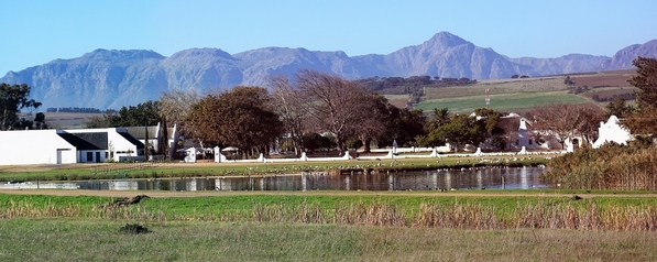 24_Stellenbosch winelands