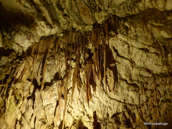 25 Postojna Cave