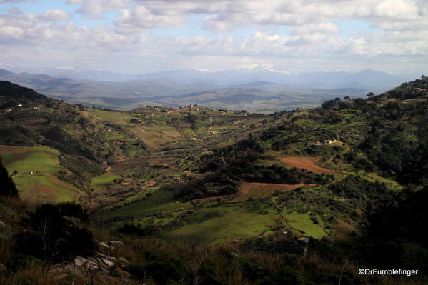 25 Segesta