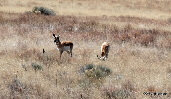 25 Sunset Crater