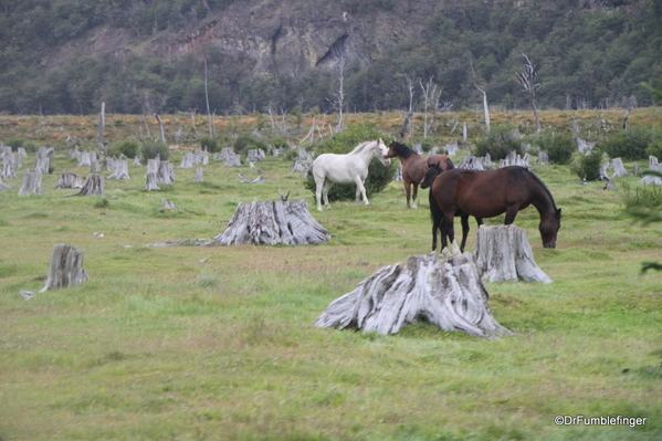 25 Ushuaia Train Ride