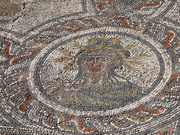 25 Volubilis -- Floor mosaic of the vathing nymphs