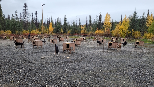 27 2022-09-11 Alaska Talkeetna DoGoneIt 25