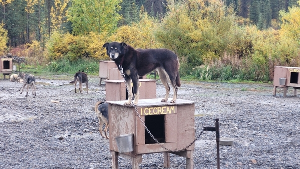 28 2022-09-11 Alaska Talkeetna DoGoneIt 29