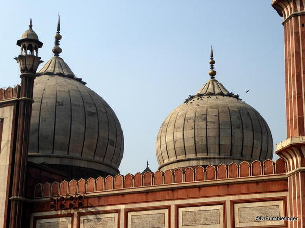 28 Jama Masjid, Delhi (153)