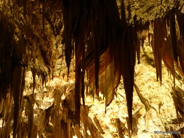 28 Postojna Cave