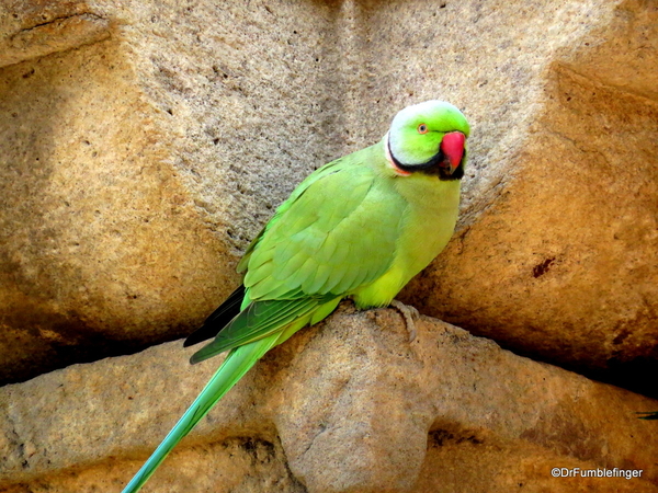 28 Qutub Minar.