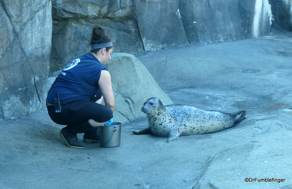 28 Seward Sealife Center