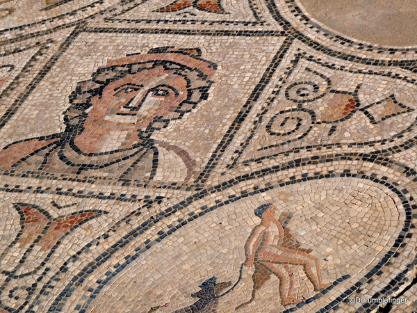 29 Volubilis -- Floor mosaic of the 12 labors of Hercules