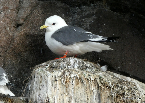 30 Seward Sealife Center